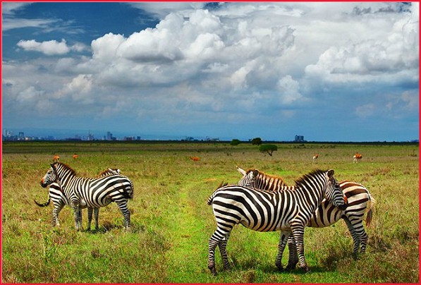 cheap flights to nairobi from London