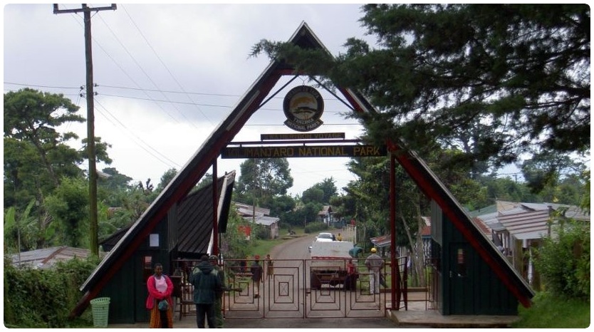 Image - 1